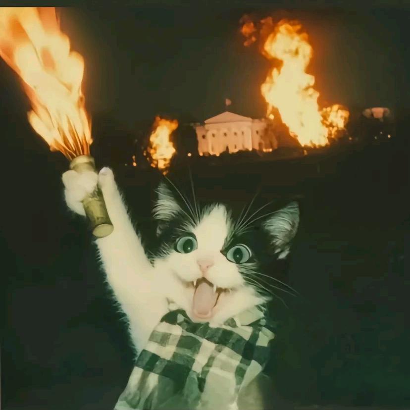 开半挂撞开你的直肠开始顶级过肺