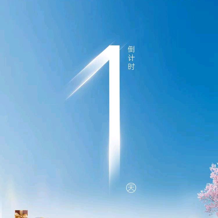 衡水奇瑞瑞霖说个事