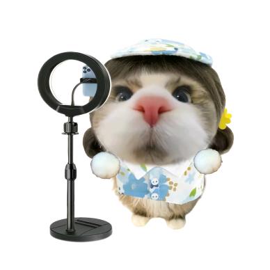 小᳐羊大王᳐੭