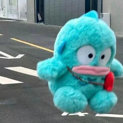 小孔同学的小助理