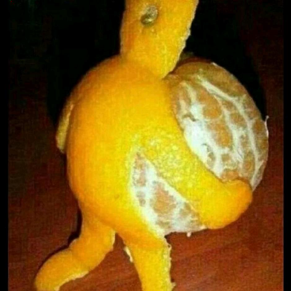 钟点