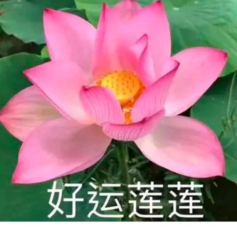 小谭