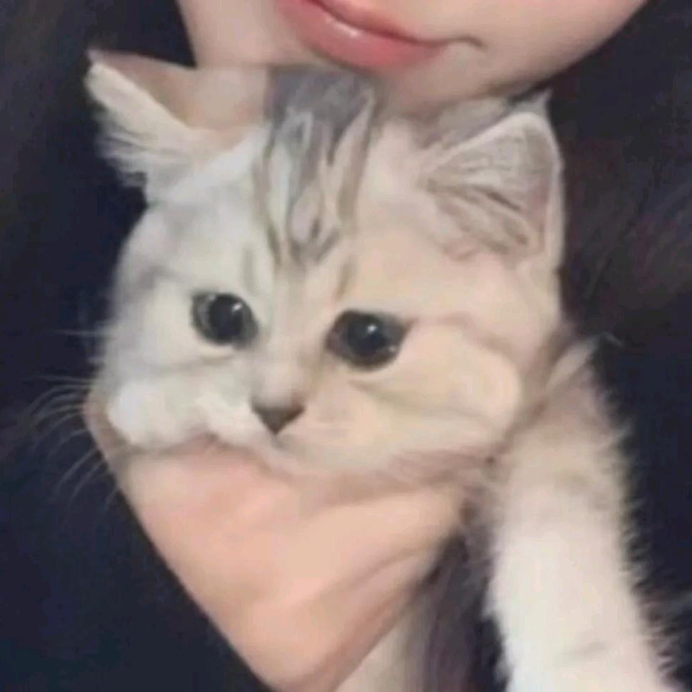 宸玺ᥫᩣ