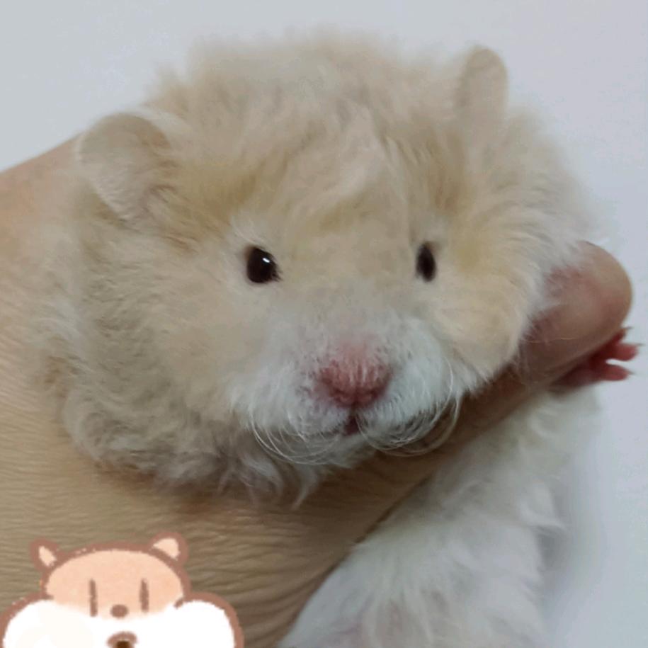 休∽