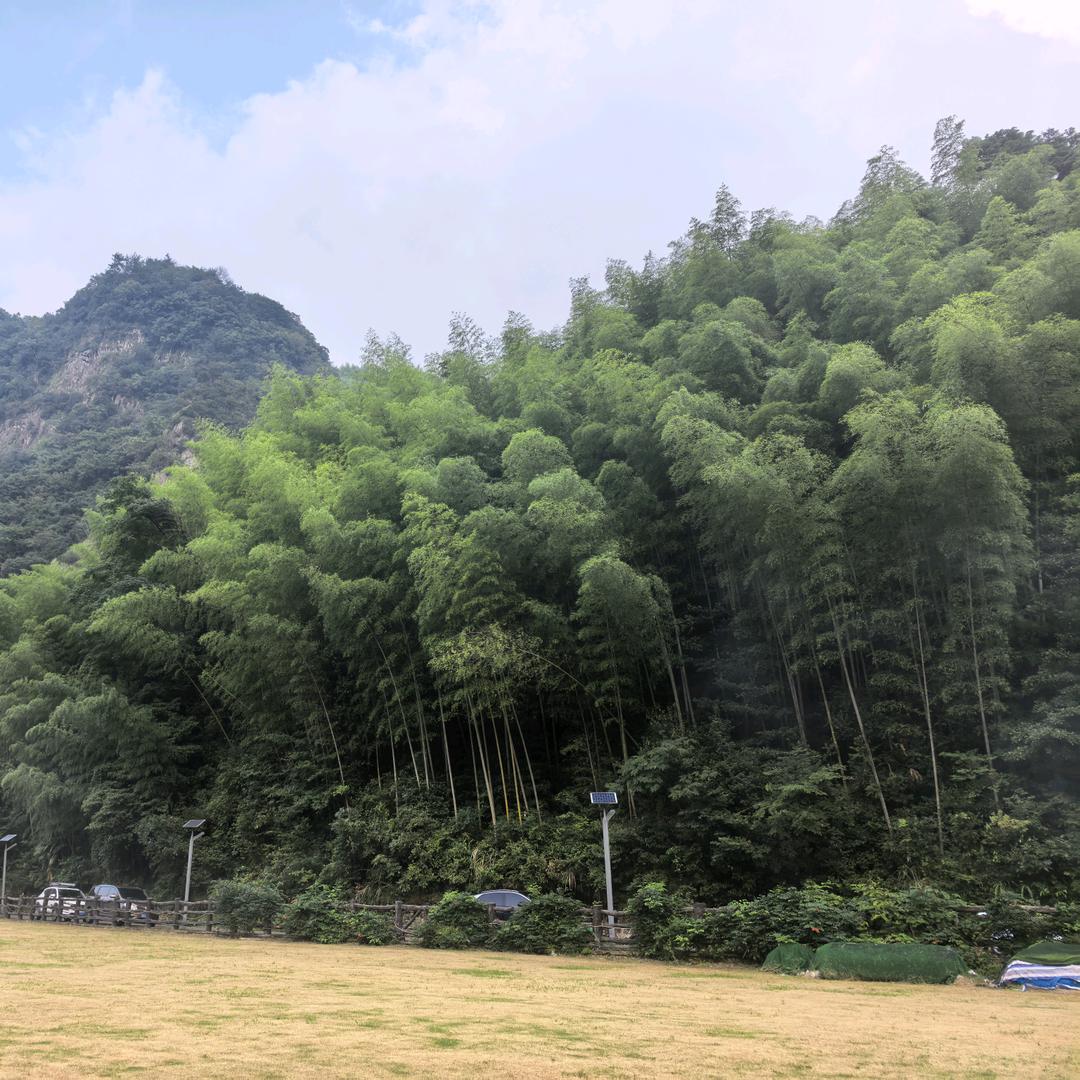 陽