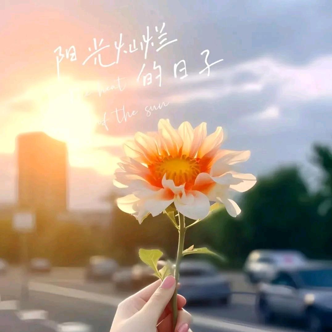 静待🌸花开