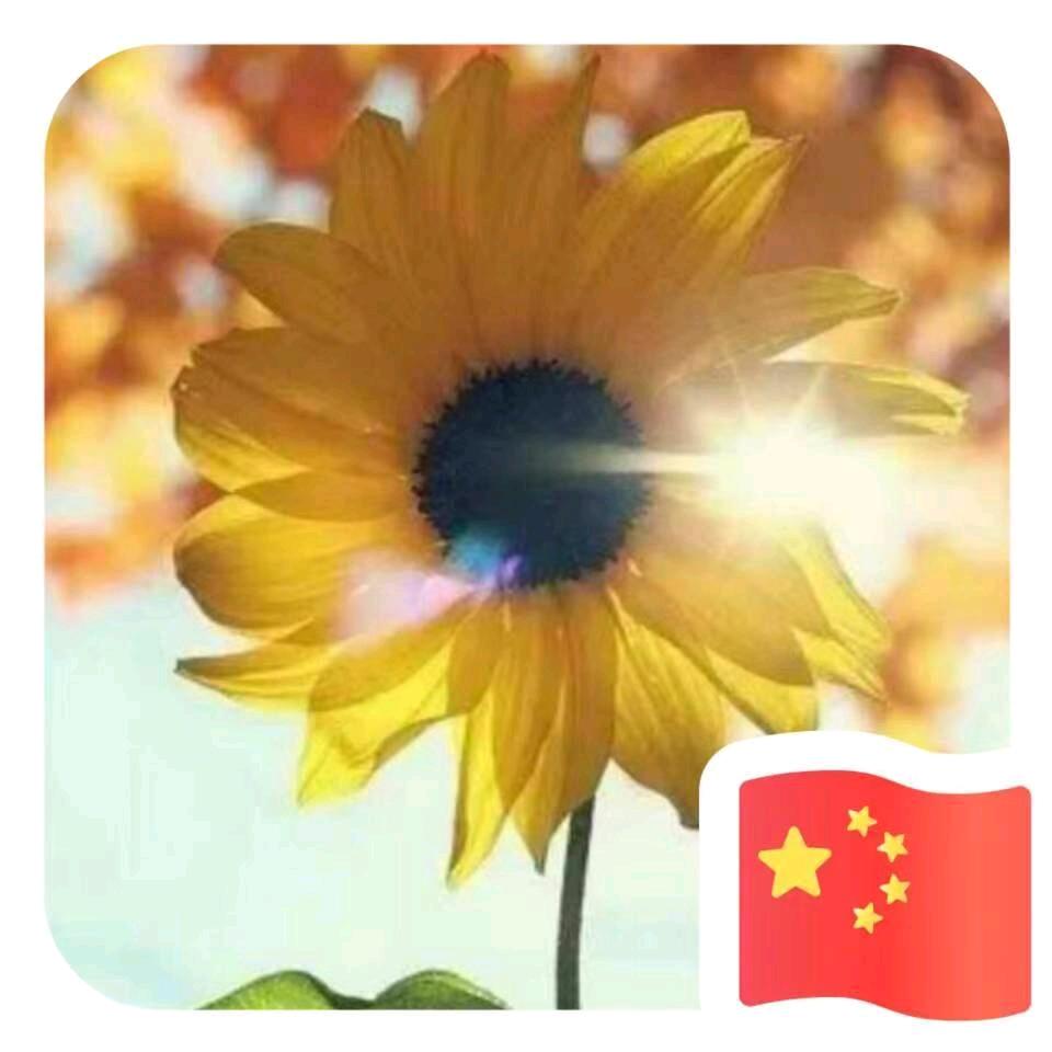 橙子🍊！
