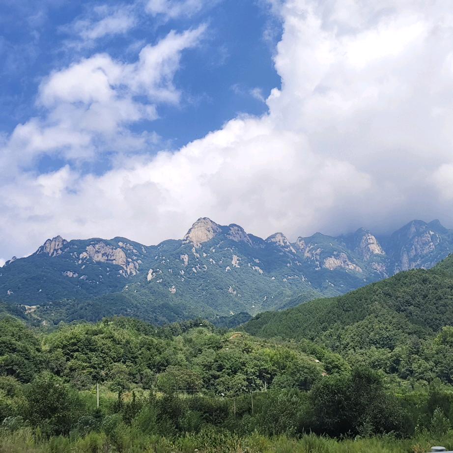 老铁粉