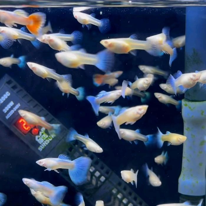 用户8888888