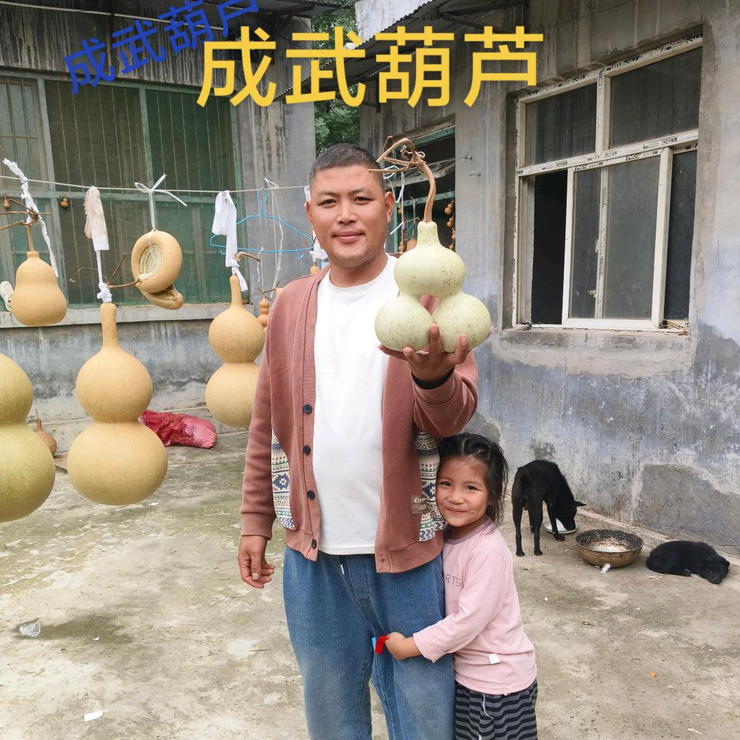 成武葫芦小店