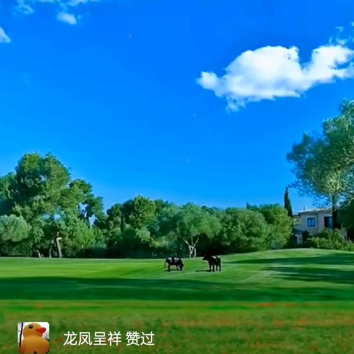 兰天