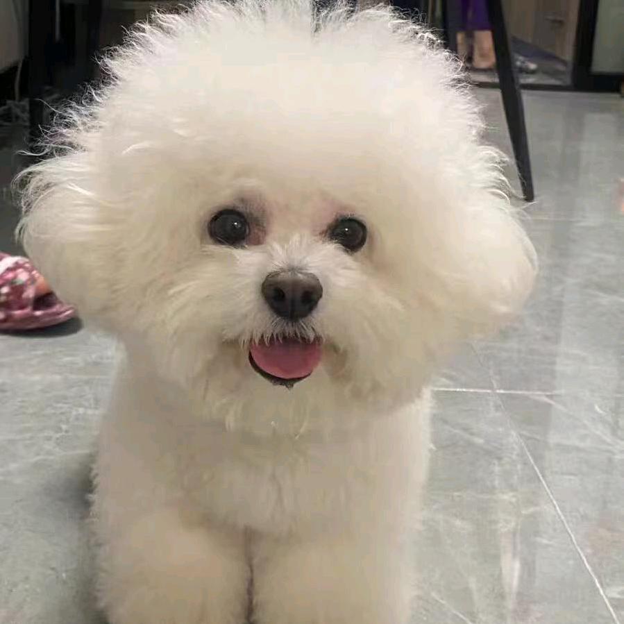 沫儿追剧