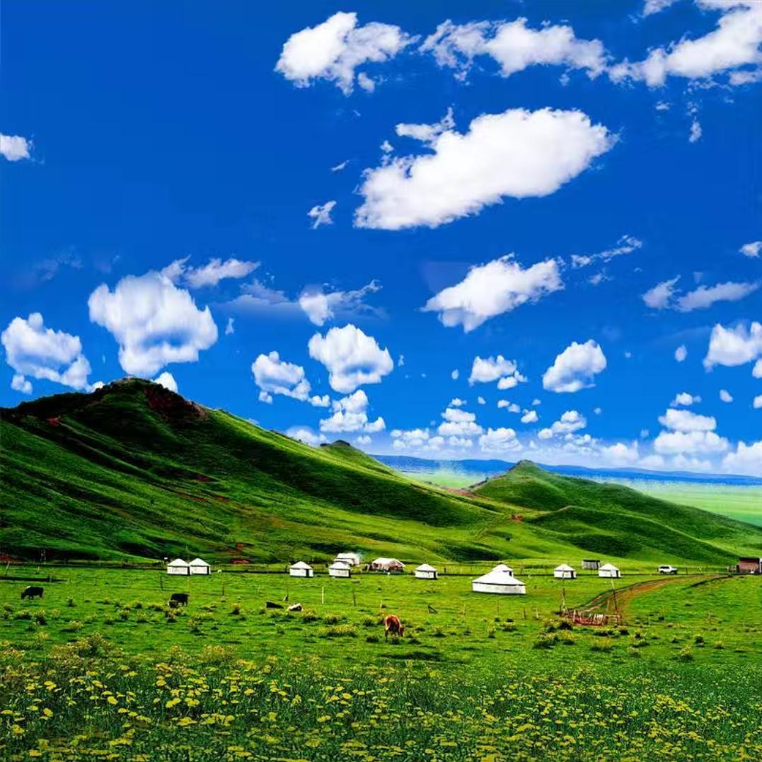 《一笑尔过为红颜》