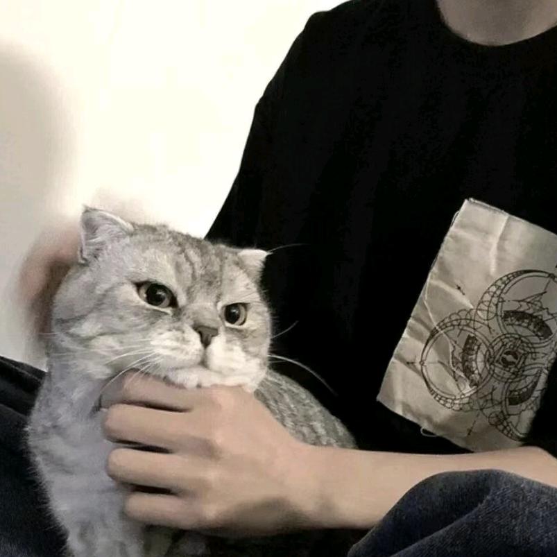 汐言.