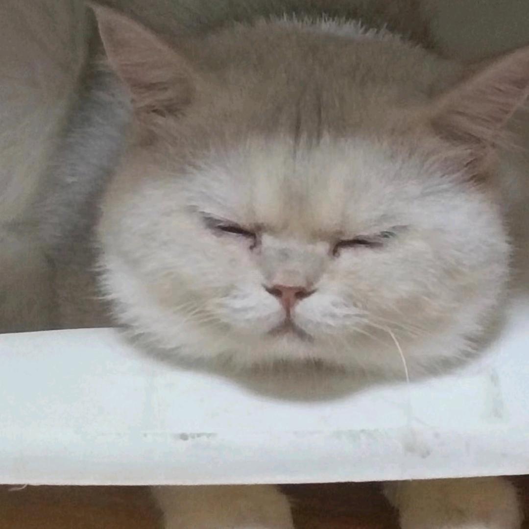 @怣忈