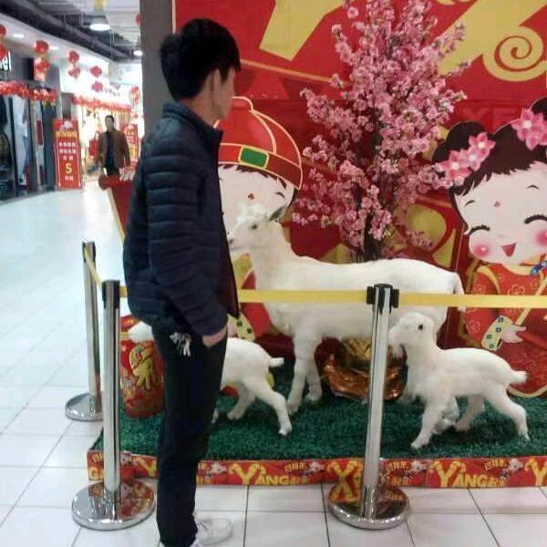 道家岐黄天时特色艾灸法,康复理疗
