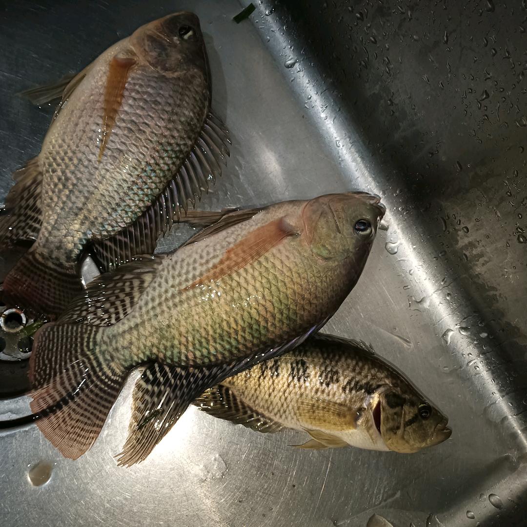 今生有缘