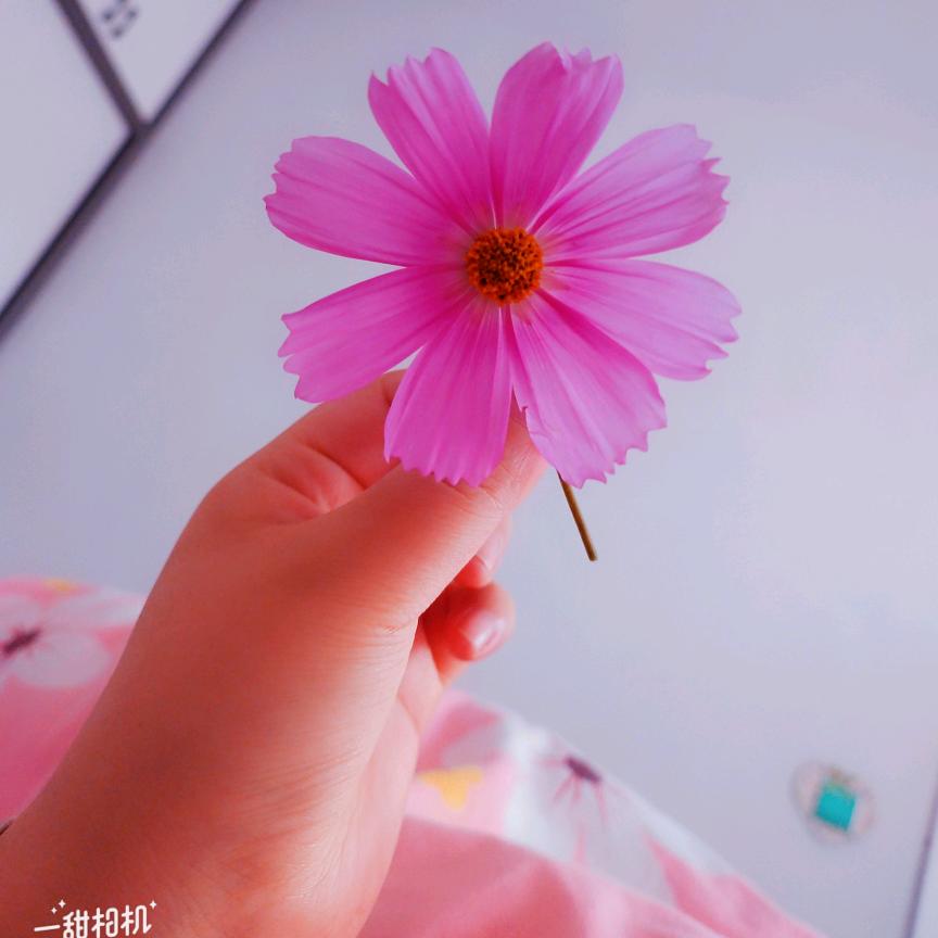 哇塞