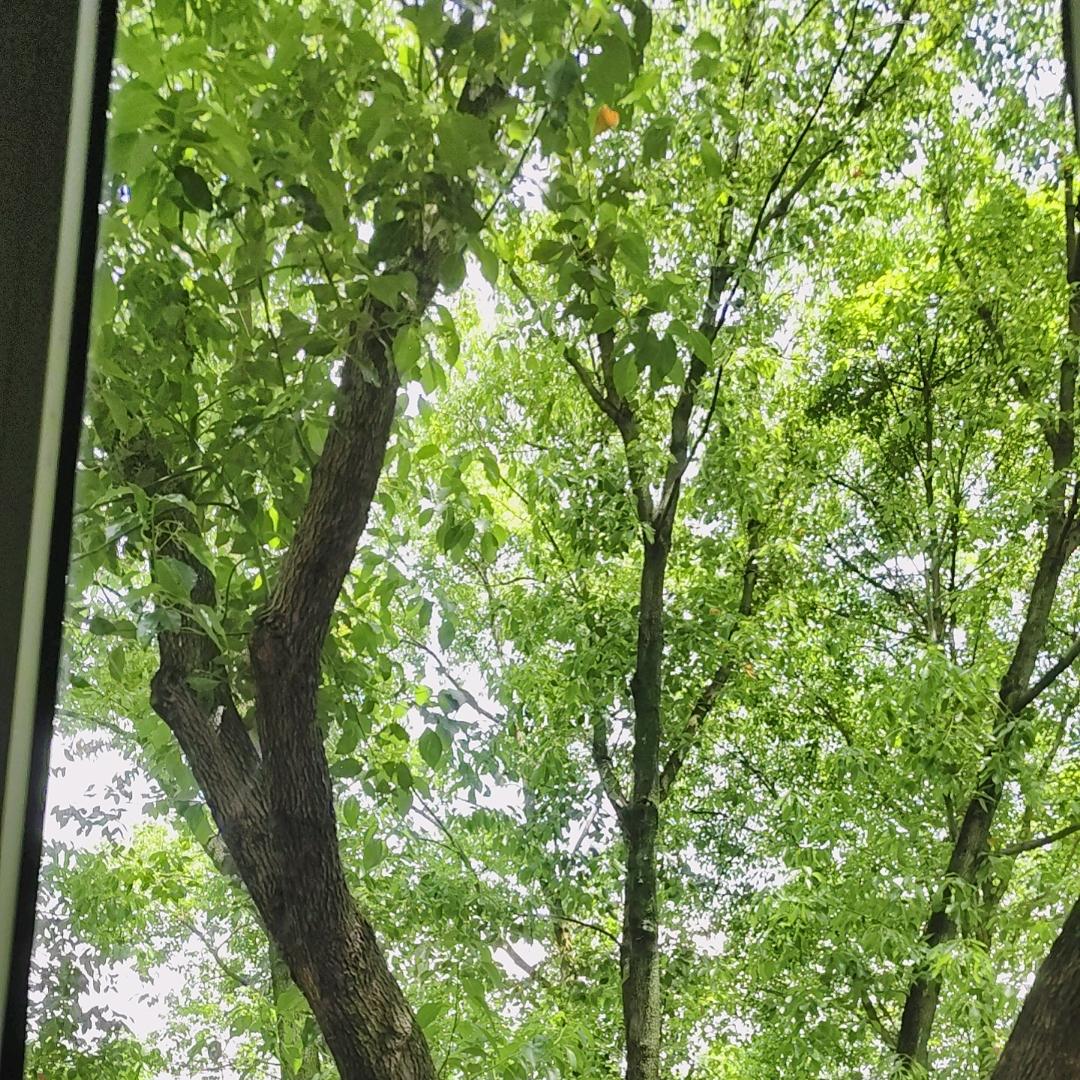 爱生活的清雨