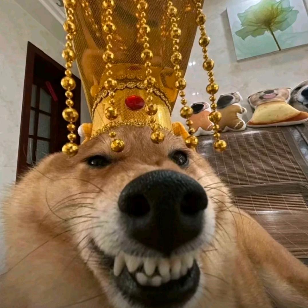 心如常