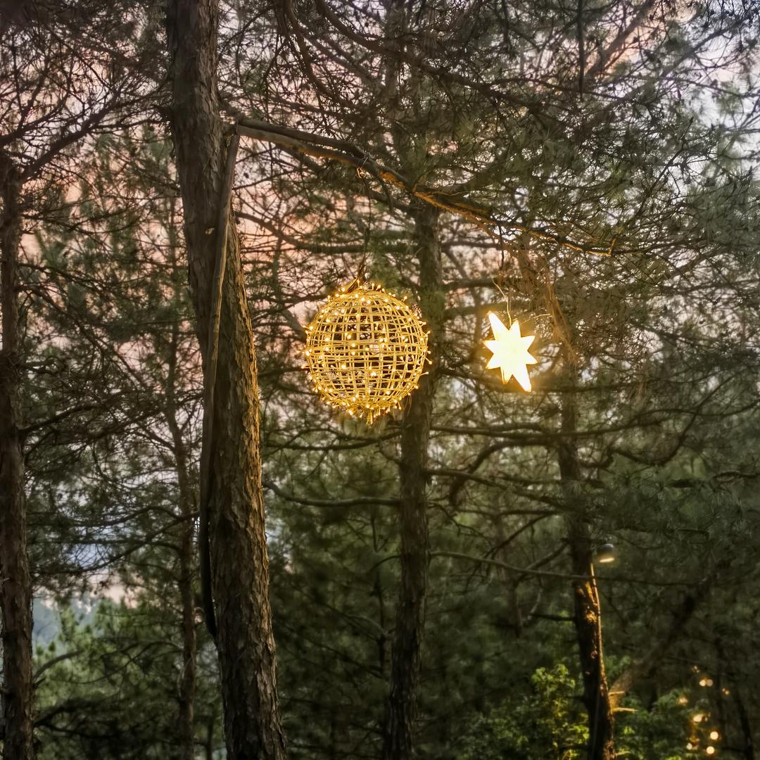 万花丛中过，片叶不沾身。