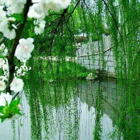 山东粮之润生物科技有限公司企业店