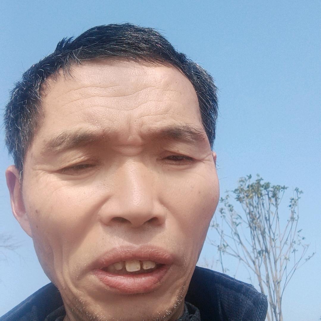 桃花盛开