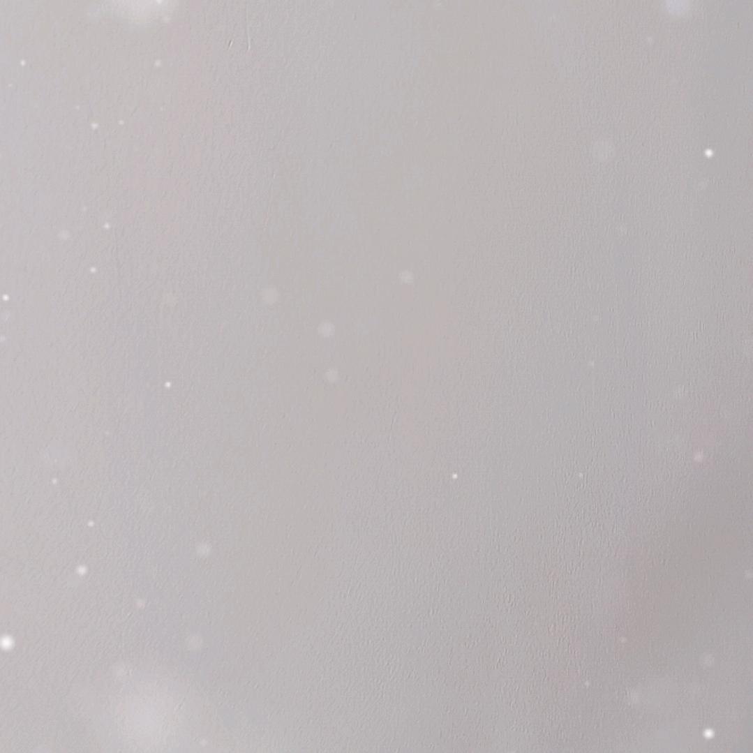 雷秉臻