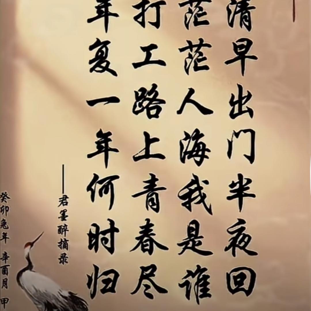 逍遥客