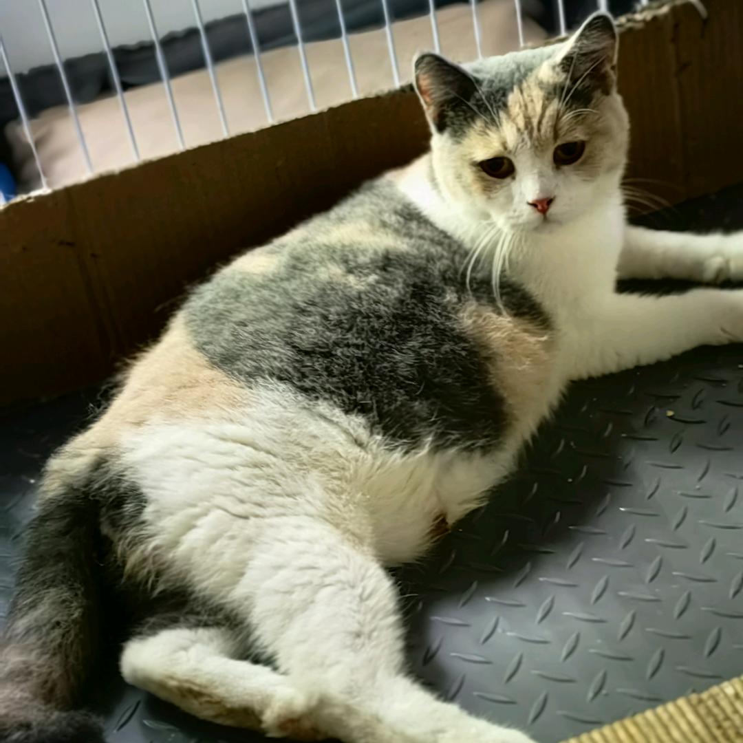 ～嘻😊嘻～