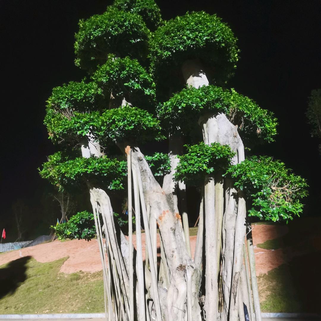 细水长流
