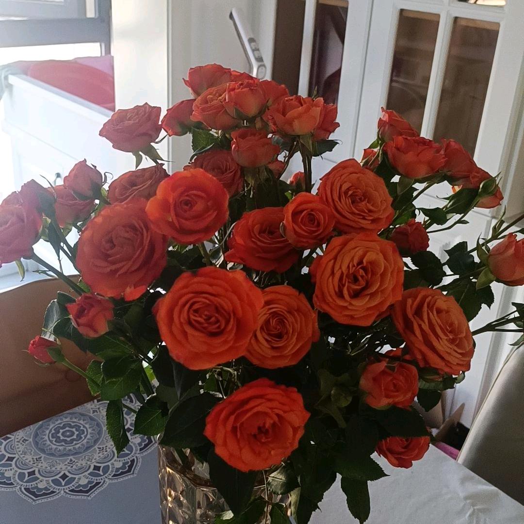 🕊꧔ꦿ᭄余生ℒℴ随心ѵℯ꧔ꦿ᭄🕊