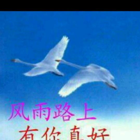 风雨路上有你真好