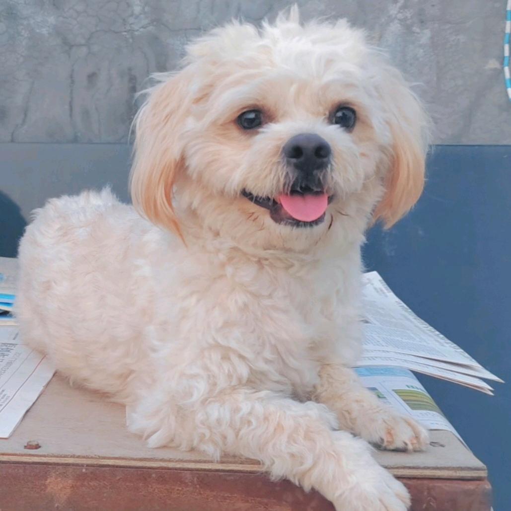 🦋꯭࿚Cꫝꫀꫛཽ୧୧⍤⃝🍒