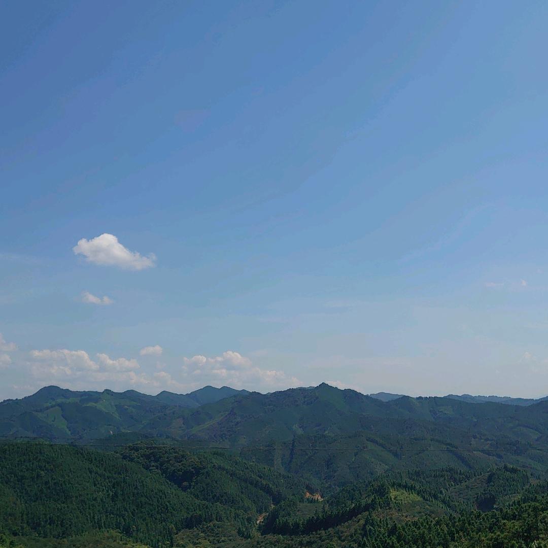 秋叶