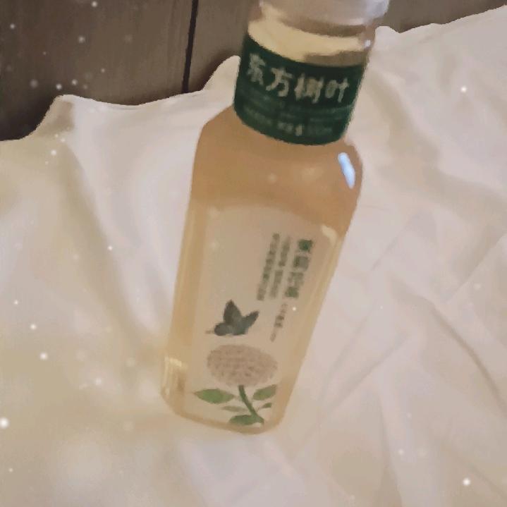 强仔