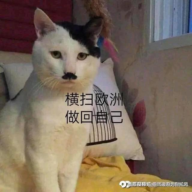 MC   小杨Chblackash