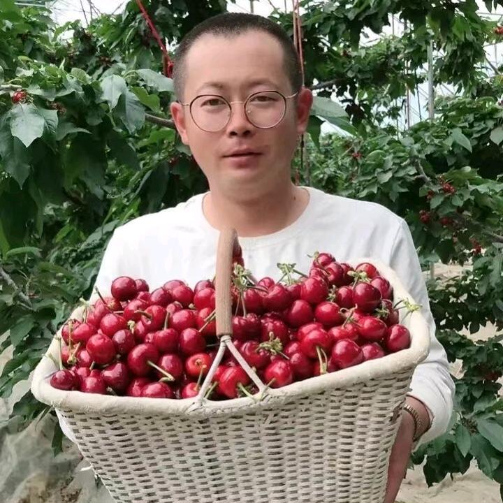 村西苹果哥