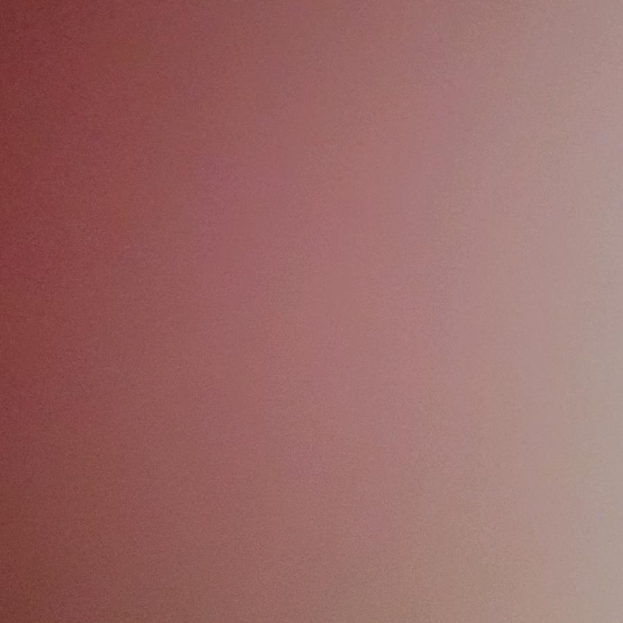 兵19204432251