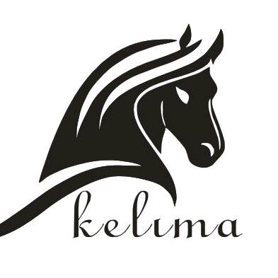 @克里马电子(运动相机 数码显微镜)
