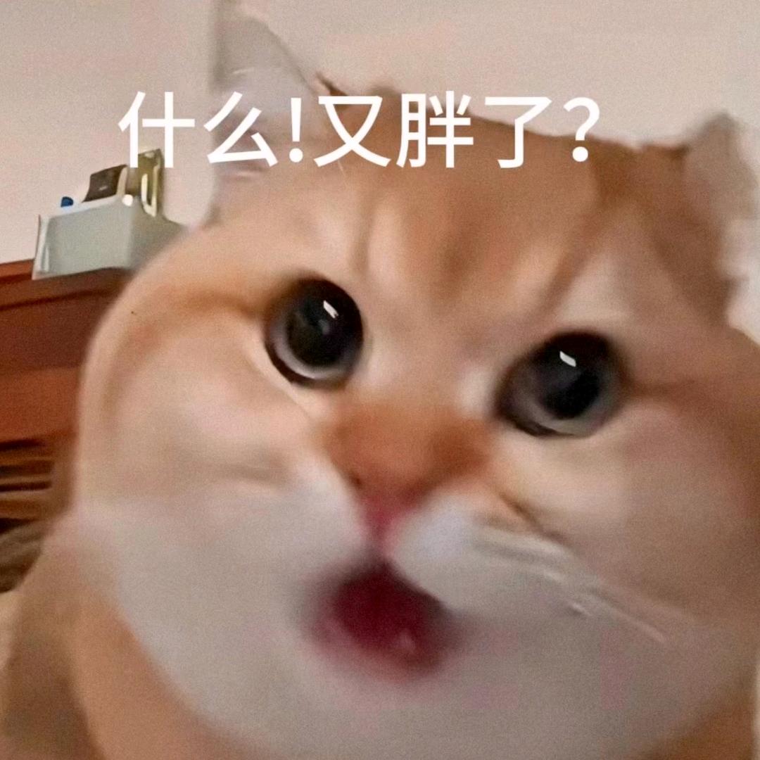 Adem大懒