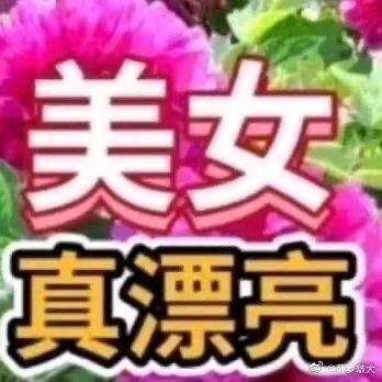 六个核桃。