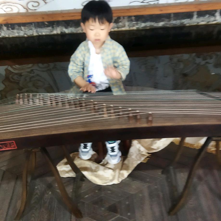 沙漠里的仙人掌