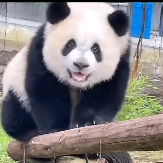 💞L໊ₒ小任ᨶ႒ᩚ性ᵥ̶ₑ̶ᩚ