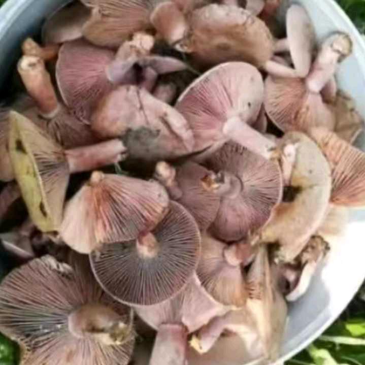 抖音寻缘