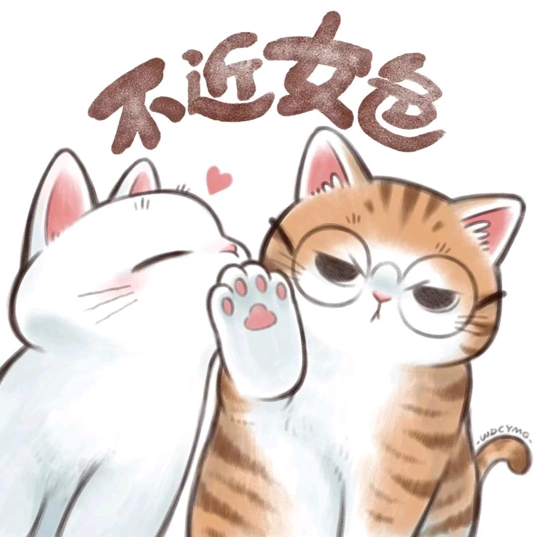 努力吧、猫崽