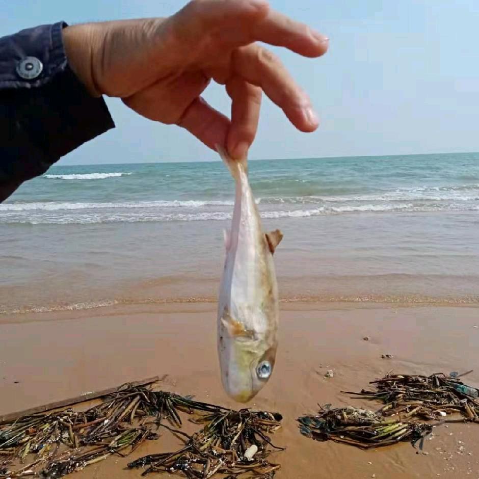 忘记你，是我的错！