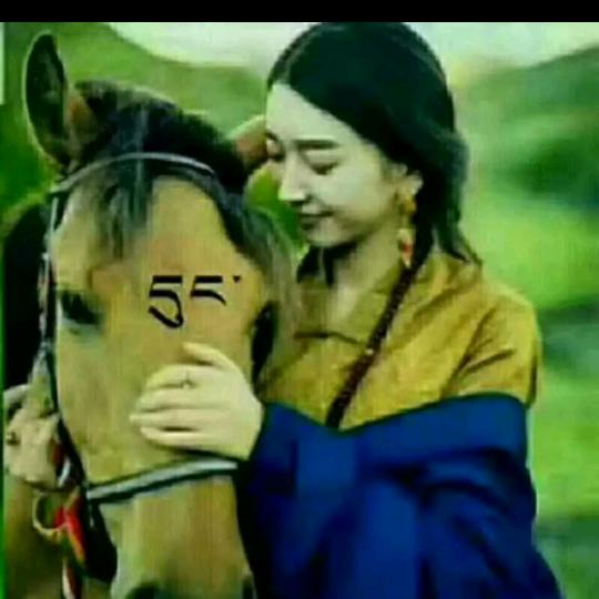 བྱ་བ་ལམ་འགྲོ་