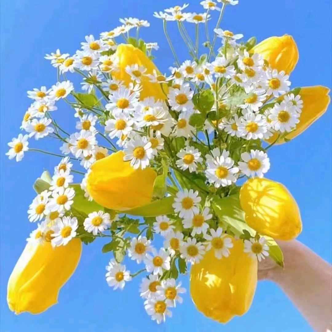 💞爱💖如💞昙💖花💞