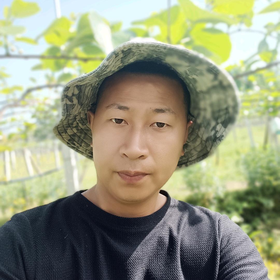 四川猕猴桃～龙哥